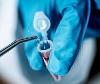 Automated Determination of Drugs of Abuse in Hair Samples – Application note